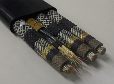 Flexible Cable Type 1