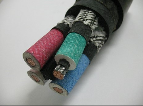 Flexible Cable Type 2